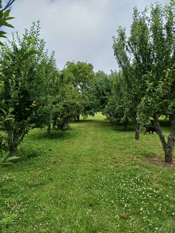 200 Hectareas en venta - Batan 