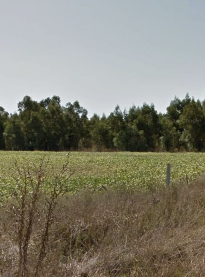 MAR DEL PLATA. 80 Hectareas agricolas. Zona Estancia La Trinidad