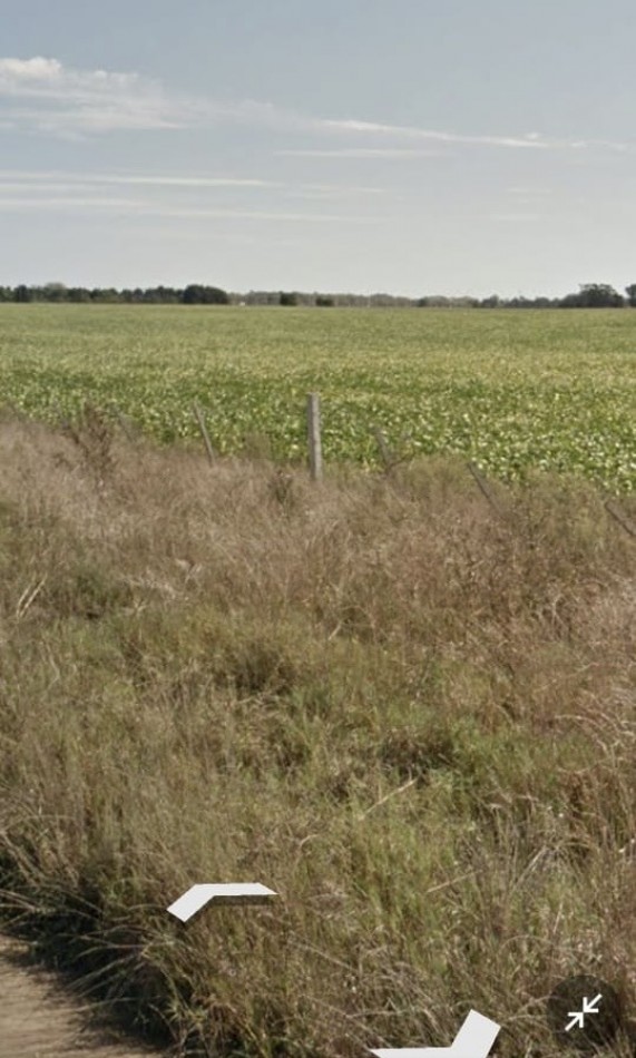 MAR DEL PLATA. 80 Hectareas agricolas. Zona Estancia La Trinidad