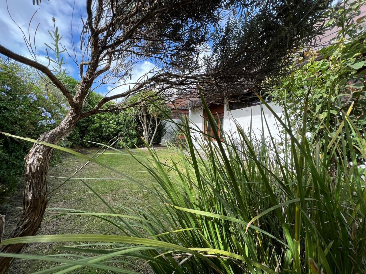 VENTA CASA 3 AMB - DAVID JEWETT 4300