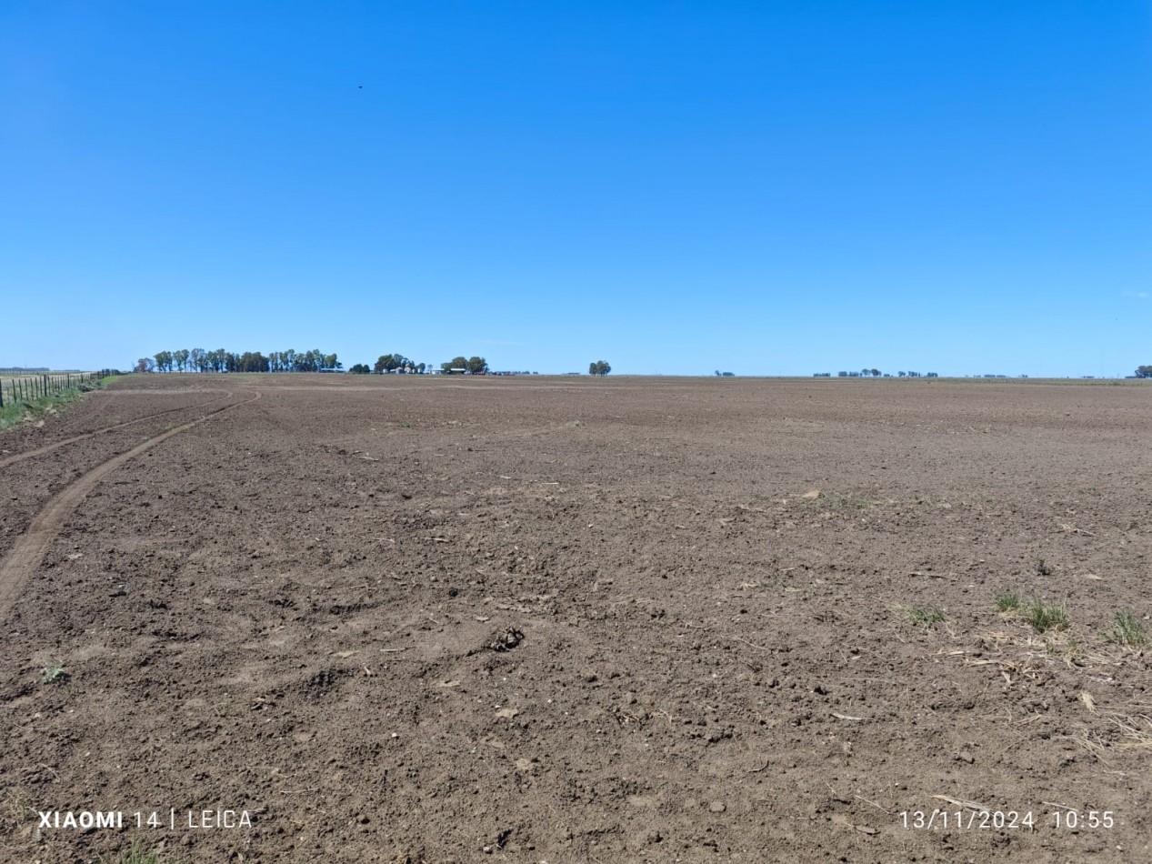 VENTA CAMPO MIXTO 1000 HECTAREAS - SOBRE RUTA 3