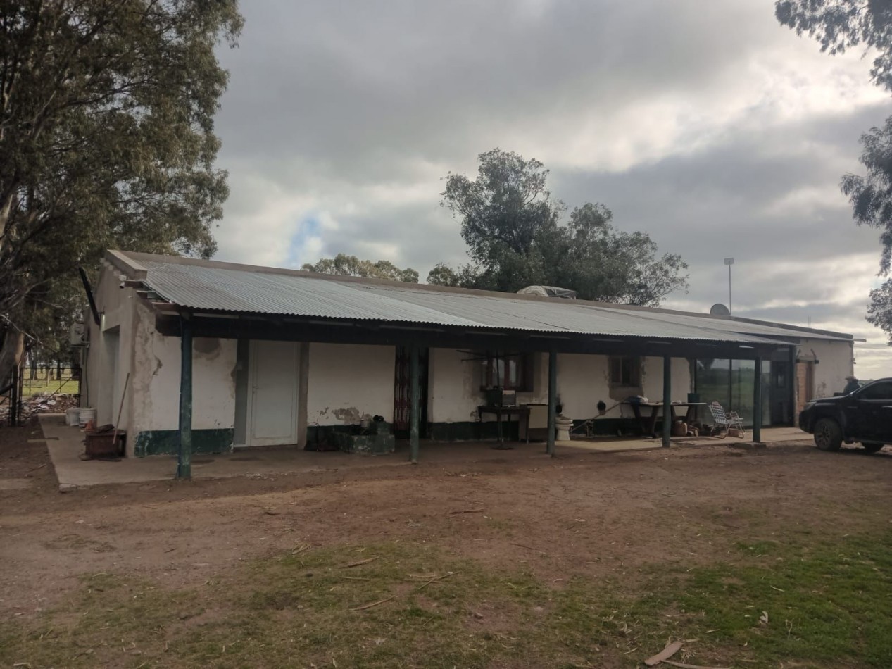 VENTA CAMPO MIXTO 1000 HECTAREAS - SOBRE RUTA 3