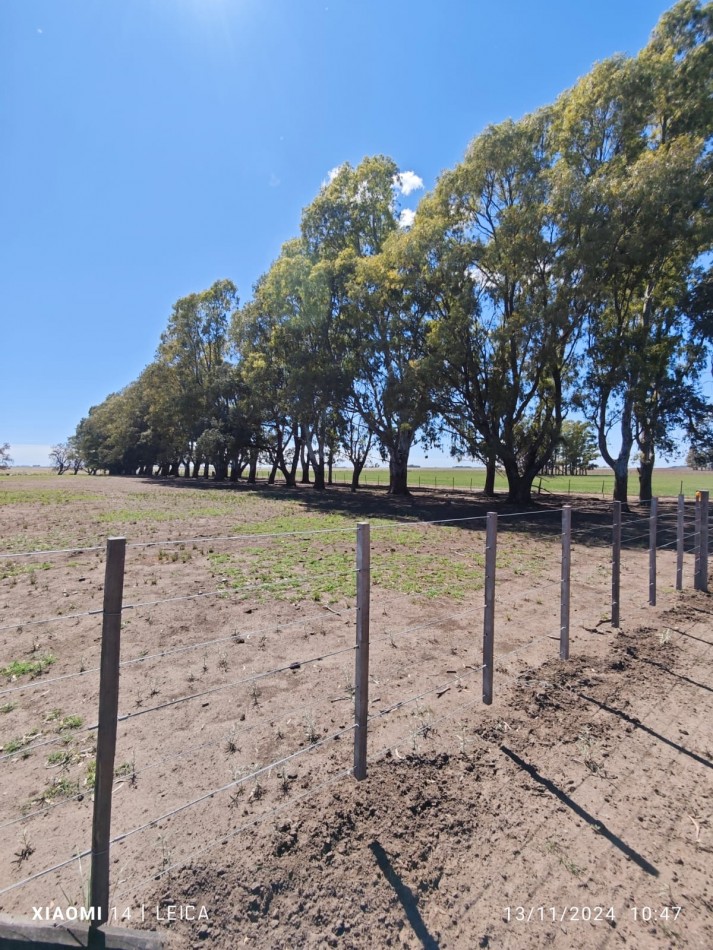 VENTA CAMPO MIXTO 1000 HECTAREAS - SOBRE RUTA 3