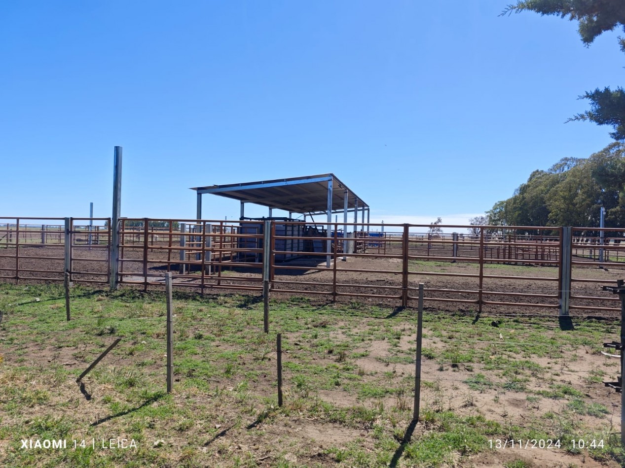 VENTA CAMPO MIXTO 1000 HECTAREAS - SOBRE RUTA 3