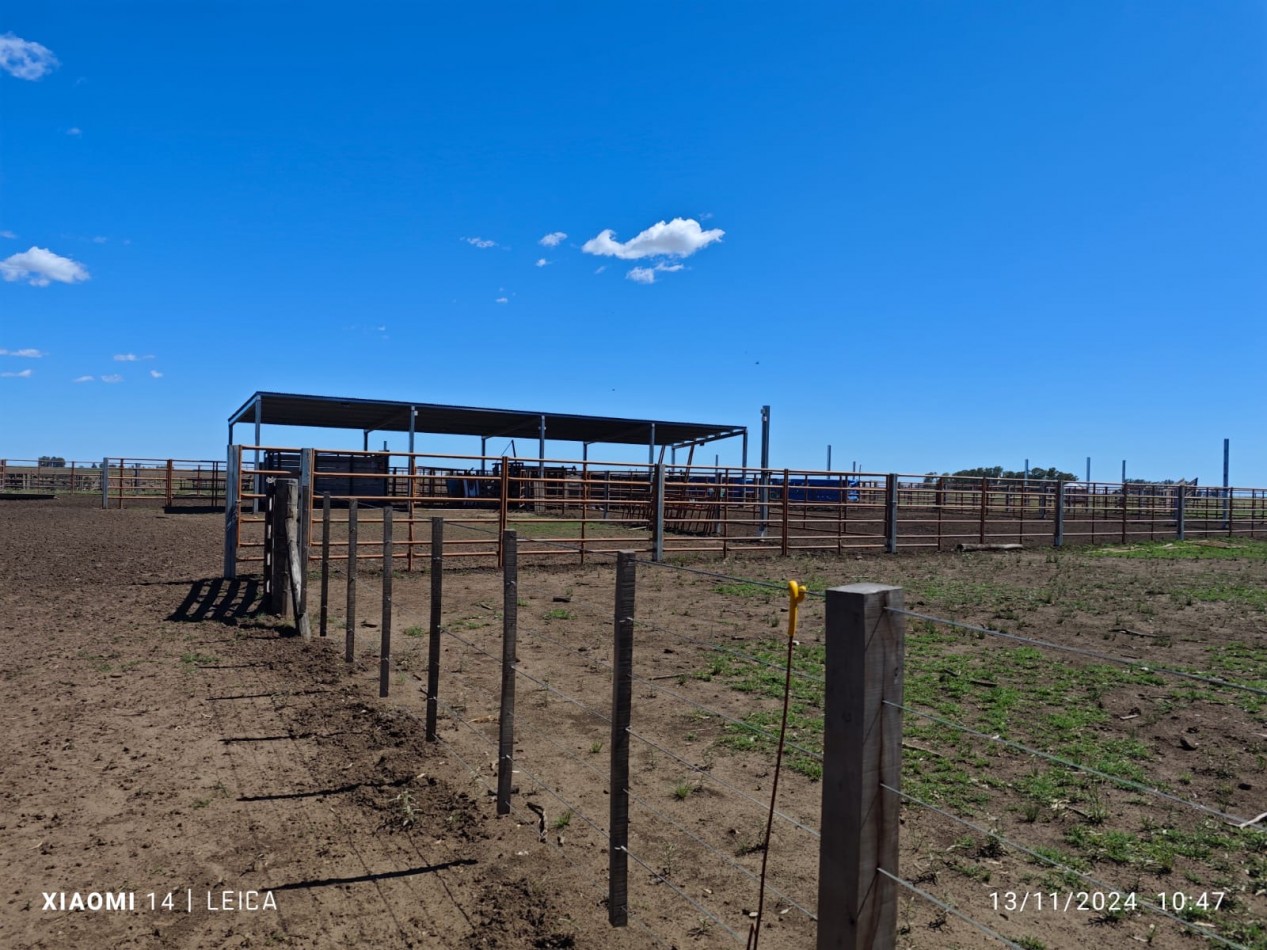 VENTA CAMPO MIXTO 1000 HECTAREAS - SOBRE RUTA 3