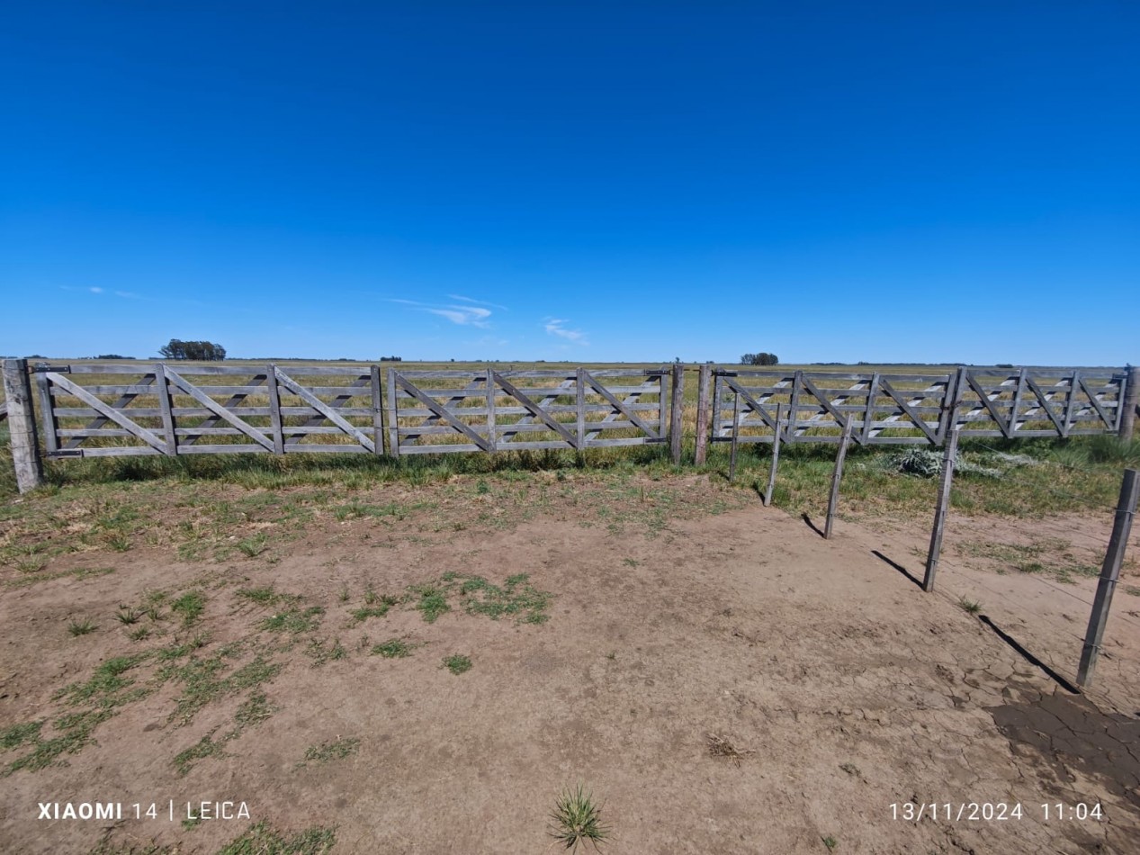 VENTA CAMPO MIXTO 1000 HECTAREAS - SOBRE RUTA 3