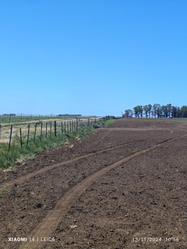 VENTA CAMPO MIXTO 1000 HECTAREAS - SOBRE RUTA 3