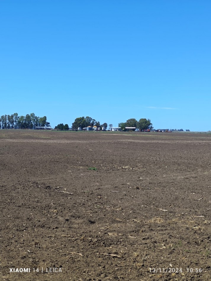 VENTA CAMPO MIXTO 1000 HECTAREAS - SOBRE RUTA 3
