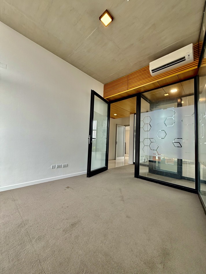 CONSTITUCION. OFICINAS EN ALQUILER.