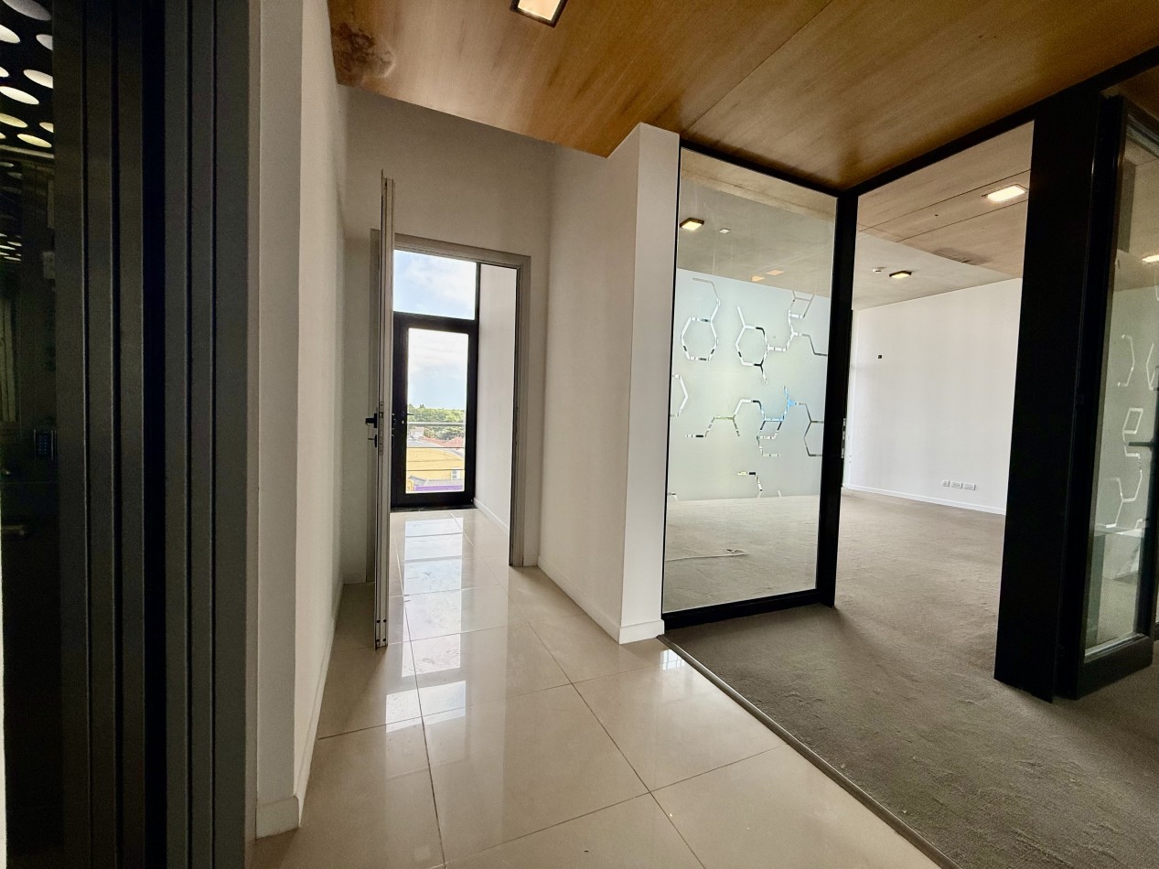 CONSTITUCION. OFICINAS EN ALQUILER.