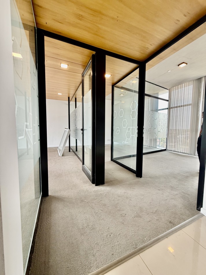 CONSTITUCION. OFICINAS EN ALQUILER.