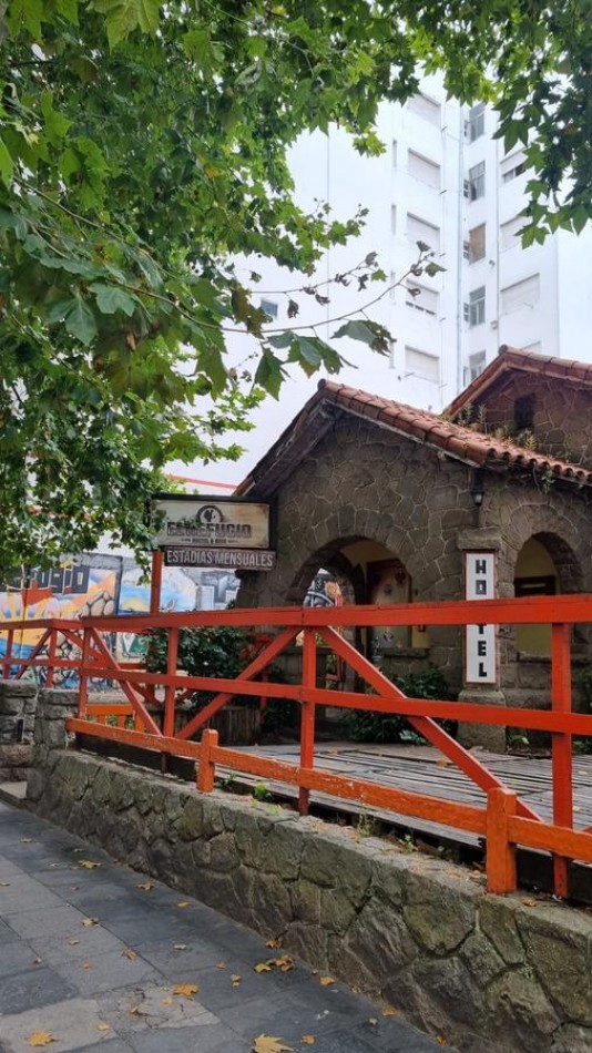 VENTA 2 LOTES UNIFICADOS - GASCON 1800