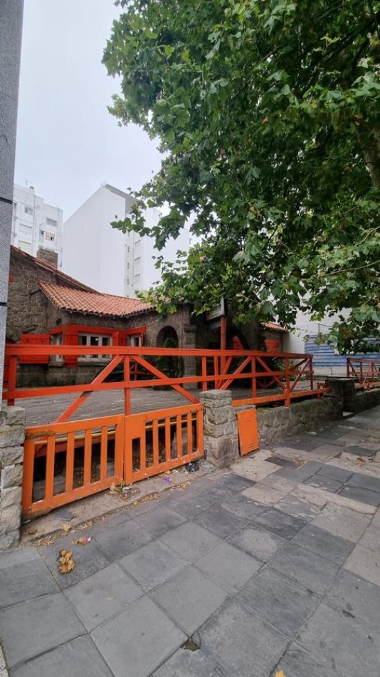 VENTA 2 LOTES UNIFICADOS - GASCON 1800