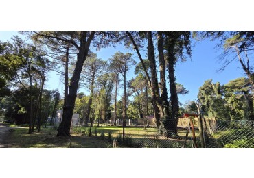 DOS TERRENOS EN VENTA - Los Puelches y Moctezuma Bosque Peralta Ramos 