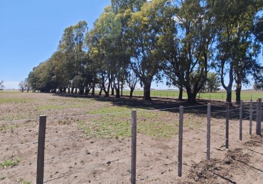 VENTA CAMPO 1000 HECTAREAS - TRES ARROYOS 
